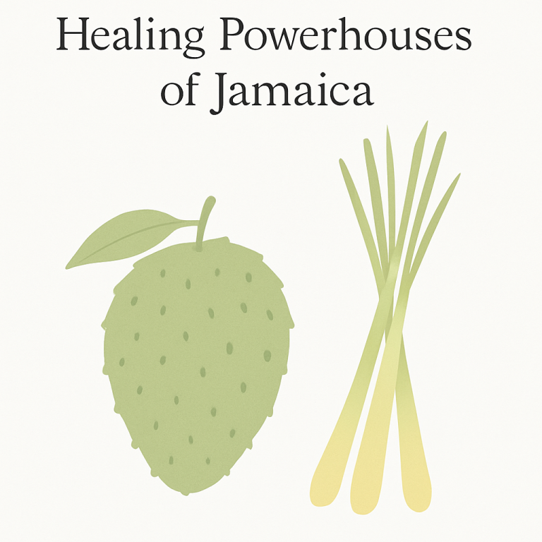 Discover the Healing Powerhouses: How Soursop and Lemongrass Are Transforming Jamaican Herbal Remedies